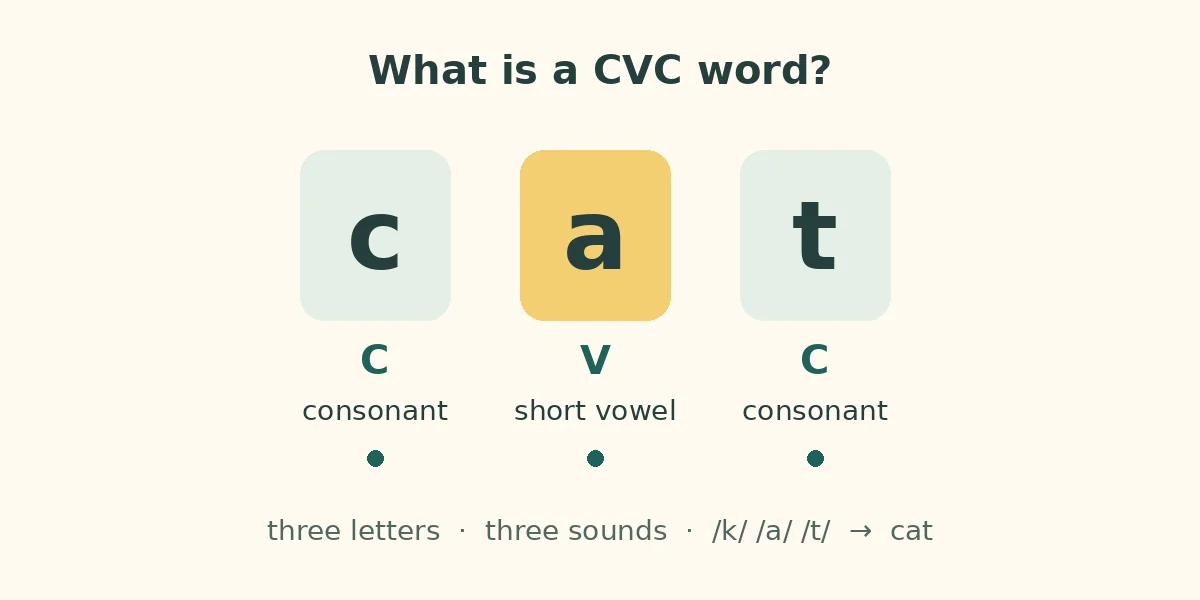 CVC Words: Meaning, Examples, Lists and Free Worksheets